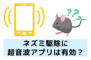 ねずみ退治に効果的な超音波アプリ – お家を守るスマホツール！