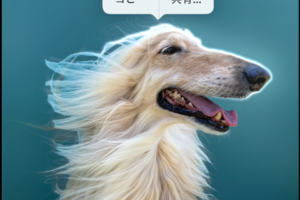 写真から人物を切り抜きする［iPhone］