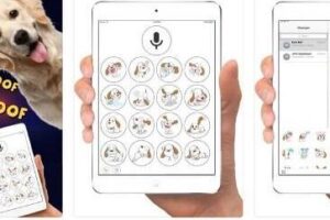 犬語がわかる？！楽しいアプリ特集